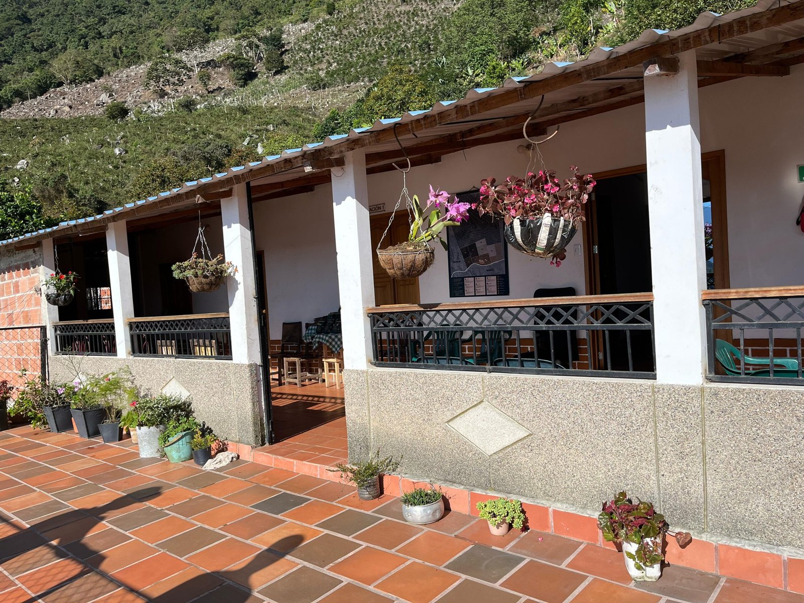 Imagen 2