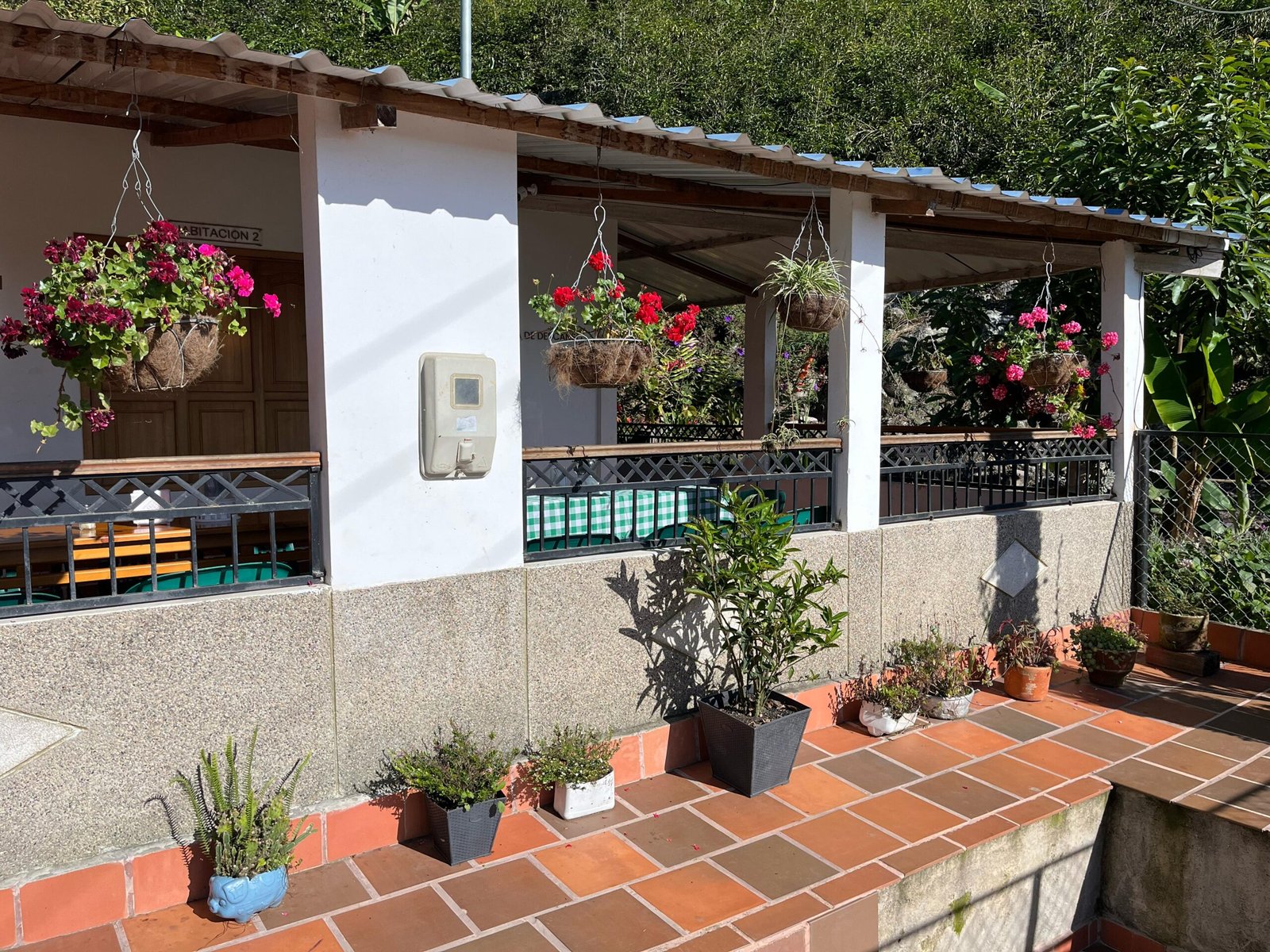 Finca 3