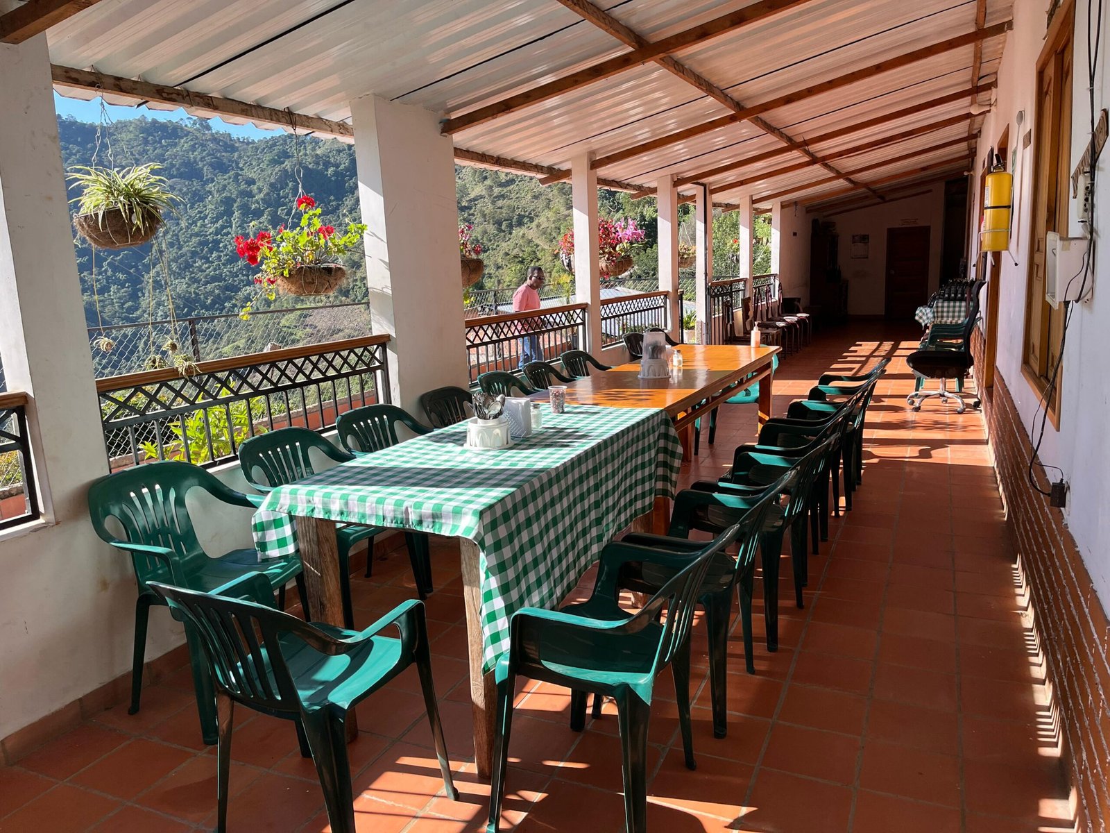 Finca 1