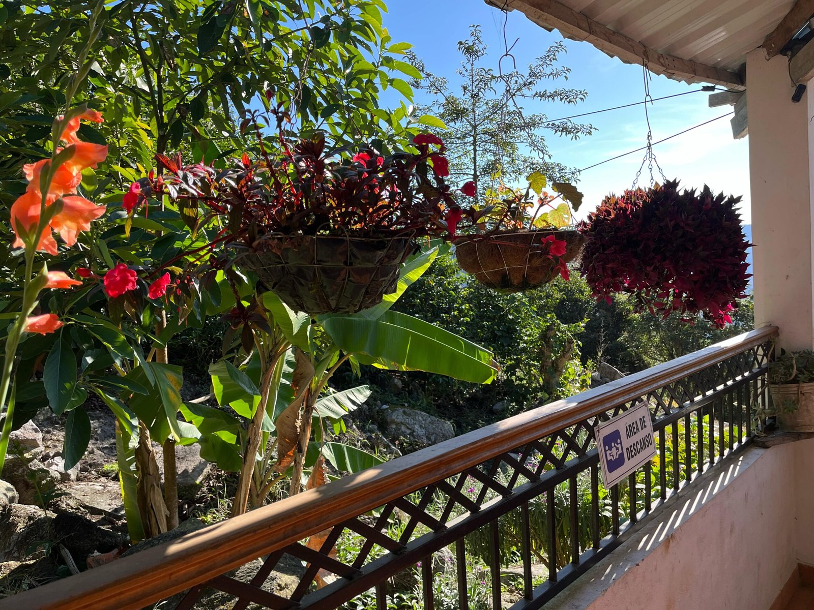 Finca 4