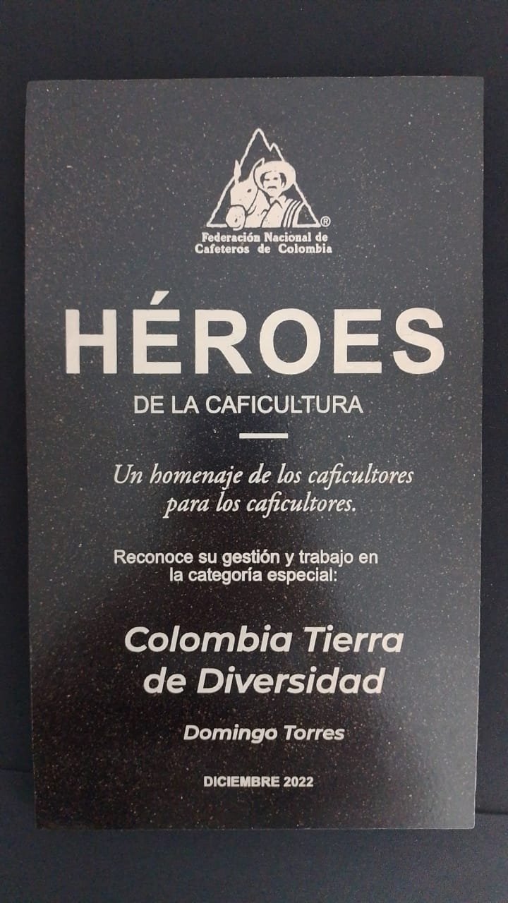 Premio 7